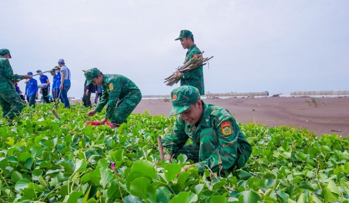 Trồng rừng ven biển: Lá chắn chống bão, bệ đỡ sinh kế ngư dân