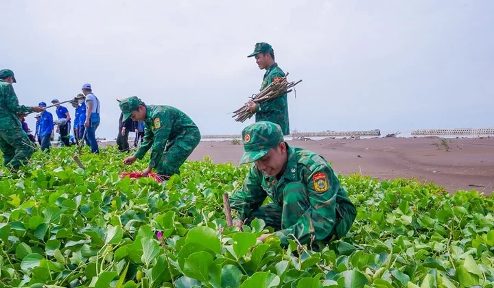 Trồng rừng ven biển: Lá chắn chống bão, bệ đỡ sinh kế ngư dân