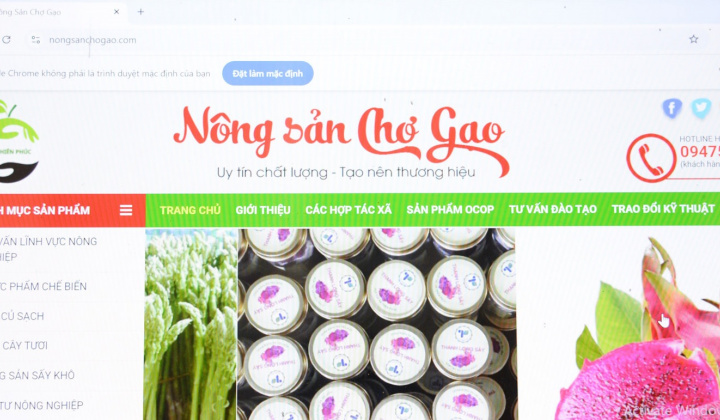 Đồng Tháp: Đẩy mạnh thương mại điện tử, tạo bước đột phá cho sản phẩm địa phương