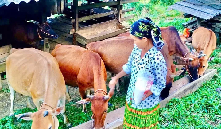 Xã Cao Minh (Thái Nguyên): Hành trình đổi thay từ nghèo khó đến phát triển