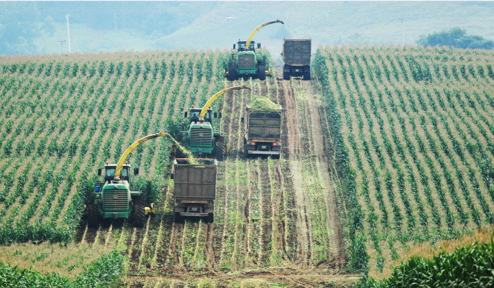 Thúc đẩy kinh tế tư nhân trở thành động lực tăng trưởng bền vững