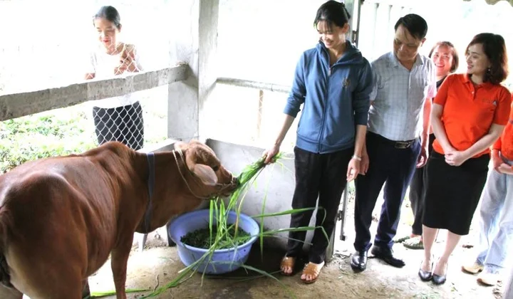 Thái Nguyên: Trao sinh kế mở lối cho phụ nữ dân tộc thiểu số vươn lên