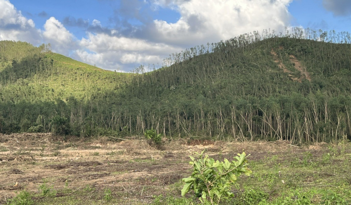 Vân Canh chủ động ứng phó, khẩn trương khắc phục thiệt hại sau bão số 13