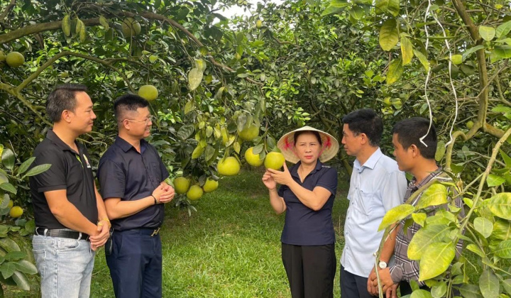 Khuyến nông Hà Tĩnh: 80 năm hành trình dệt nên những mùa vàng bội thu