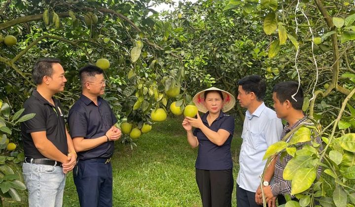 Khuyến nông Hà Tĩnh: 80 năm hành trình dệt nên những mùa vàng bội thu