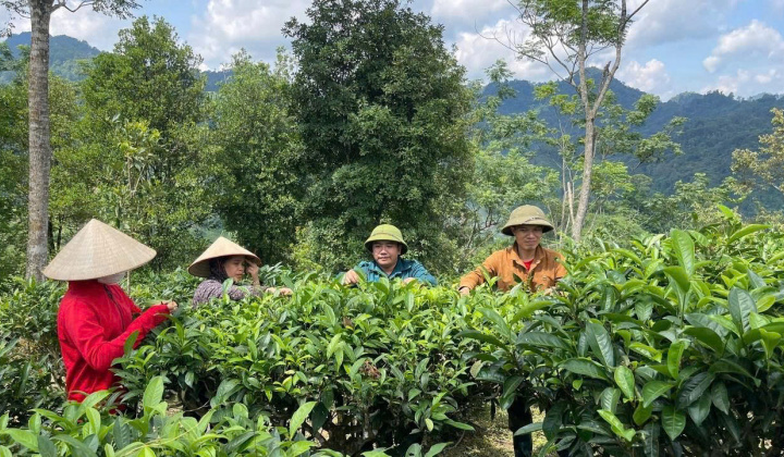 Thái Nguyên: Đa dạng hóa sinh kế để giảm nghèo bền vững