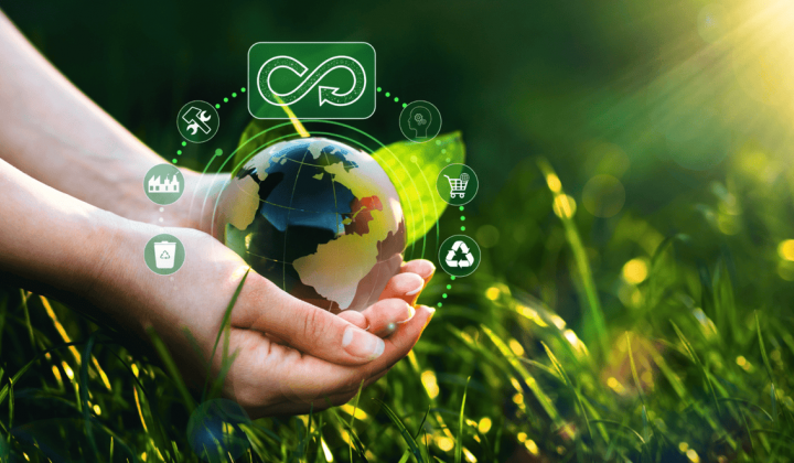 Fostering green consumption for sustainability