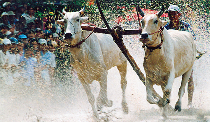 An Giang thắp sáng giá trị đoàn kết, nâng cao đời sống đồng bào dân tộc