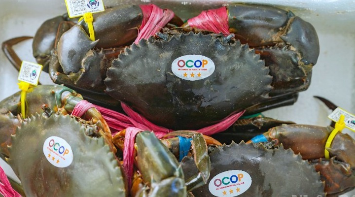 Khẳng định giá trị – Lan tỏa thương hiệu Cua Cà Mau tại Ngày hội lần II