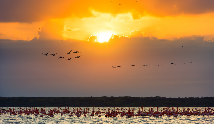 Colombia, the Country of Beauty, through its National Parks