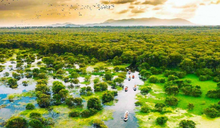 Tây Ninh hoàn thành vượt mục tiêu Đề án “Trồng một tỷ cây xanh”