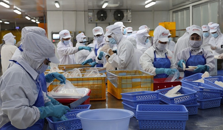 Đồng Tháp khẳng định vị thế với đà tăng trưởng công nghiệp – xuất khẩu ổn định