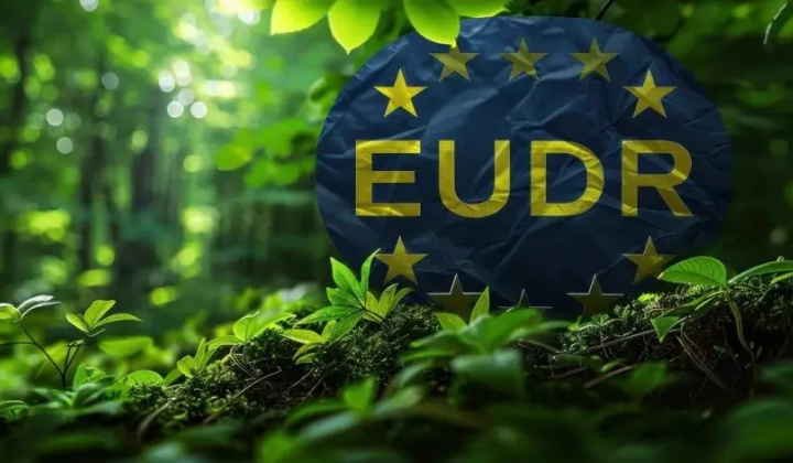 Khẳng định cam kết phát triển bền vững: Việt Nam tăng tốc chuẩn bị thực thi Quy định EUDR