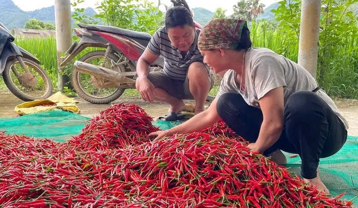 Xuân Hòa, Lào Cai: Nâng cao chất lượng công tác giảm nghèo và giải quyết việc làm - Từ tuyên truyền đến hành động thực chất