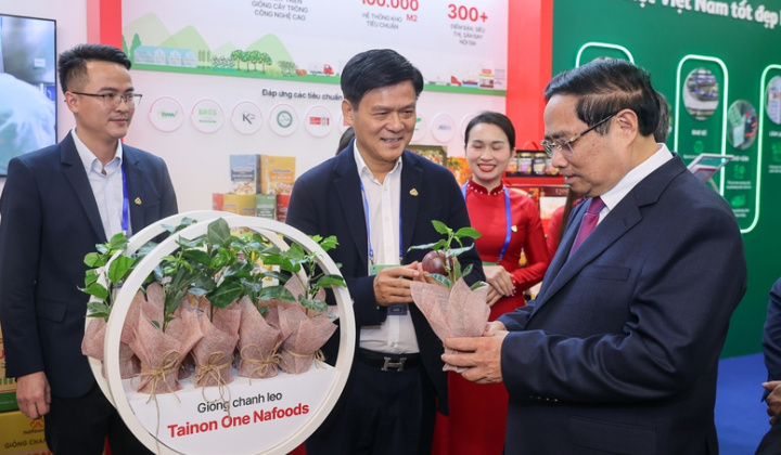 Kinh tế Việt Nam phát triển nhanh, bền vững, chuyển đổi xanh trong kỷ nguyên số