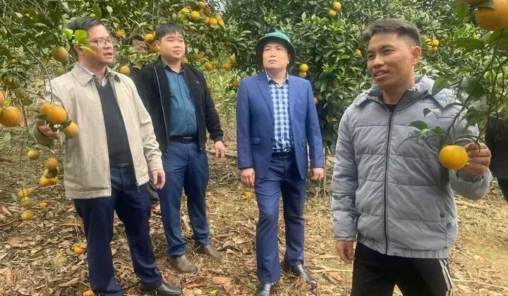 Xuân Hòa (Lào Cai) tạo đột phá trong giảm nghèo: Những mô hình kinh tế từ nông - lâm nghiệp vươn lên bền vững