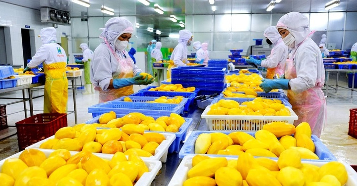 Trên 2.700 doanh nghiệp thành lập mới, Đồng Tháp bứt tốc năm 2025