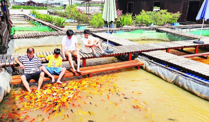 TP Cần Thơ: Người dân địa phương là linh hồn của du lịch cộng đồng