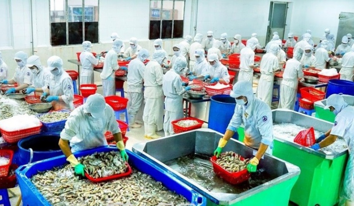 Cà Mau đẩy mạnh xúc tiến, mở rộng “cửa ngõ” thu hút dòng vốn đầu tư