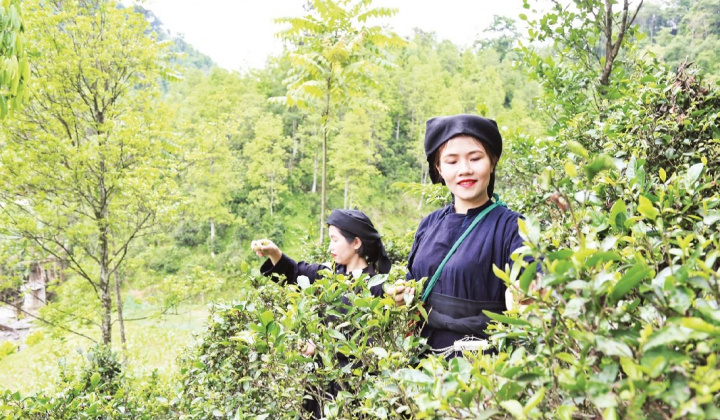 Đổi mới chuẩn nghèo theo hướng đa chiều, số hóa: Yêu cầu tất yếu cho giảm nghèo bền vững giai đoạn mới