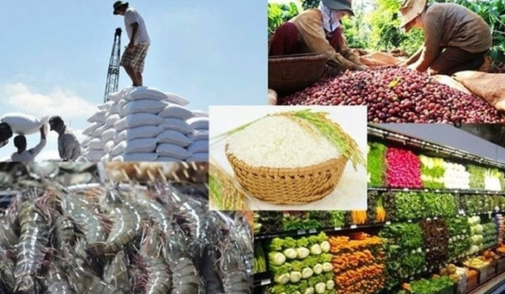 Đồng Nai nâng tầm nông sản, tạo nền tảng bền vững cho xuất khẩu