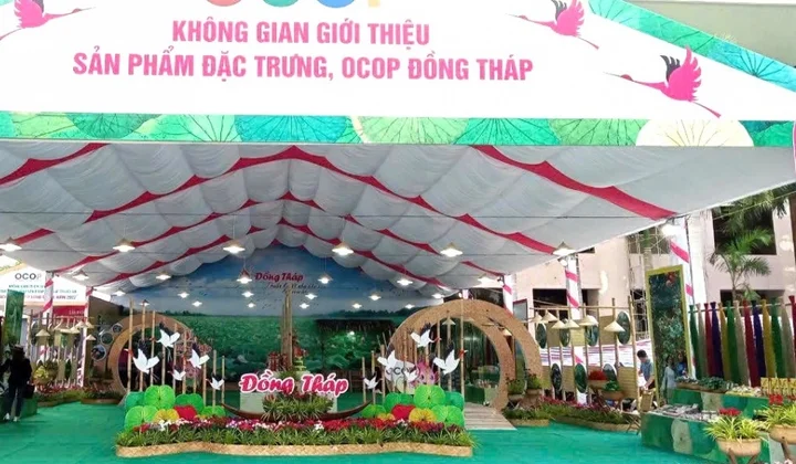 Sản phẩm OCOP Đồng Tháp – Từ làng nghề đến mùa xuân