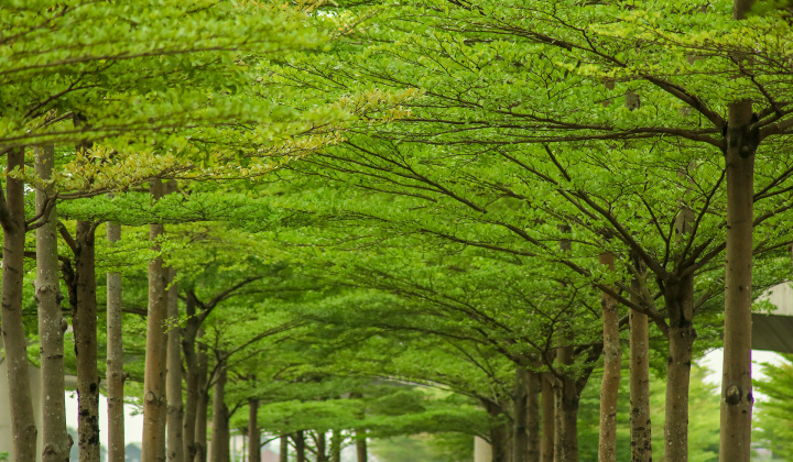 Vì một Việt Nam sáng – xanh – sạch – đẹp