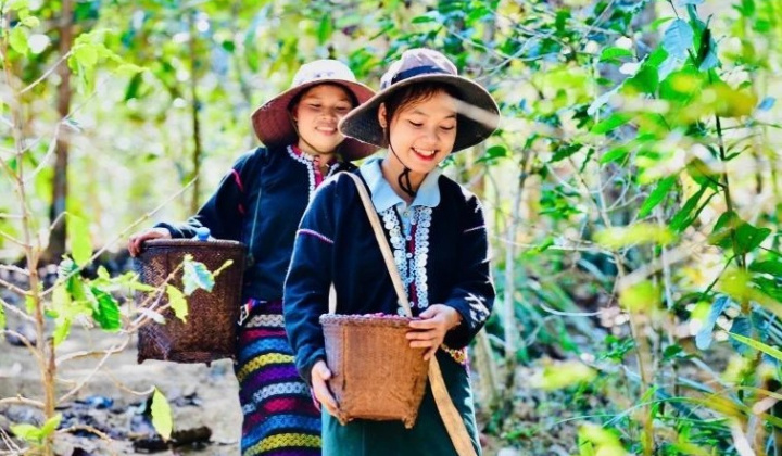 Phát triển kinh tế tập thể, hợp tác xã theo mô hình xanh, số, tuần hoàn