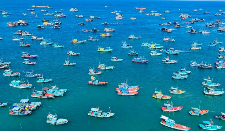 Đưa Việt Nam là quốc gia mạnh về biển, giàu từ biển