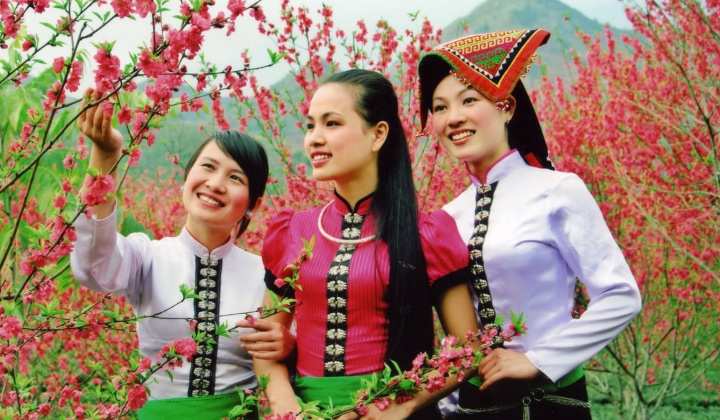 Sustainable Development of Social Insurance Policies for Ethnic Minority areas be implemented