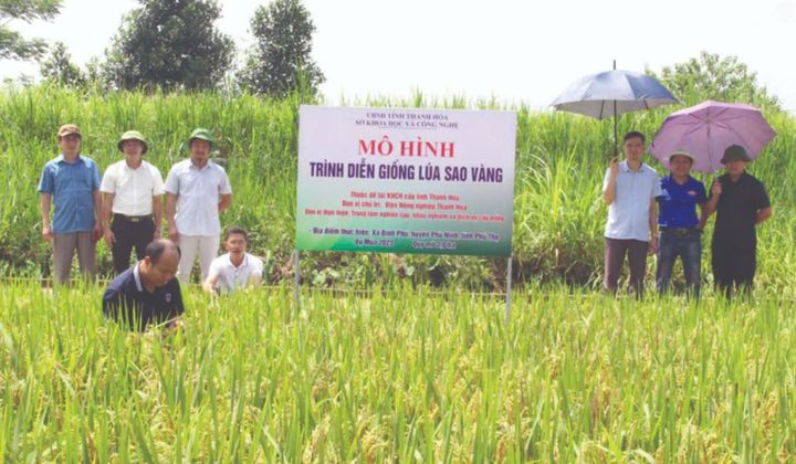 Một số nhiệm vụ, giải pháp KHCN, đổi mới sáng tạo và chuyển đổi số thúc đẩy phát triển nông nghiệp tỉnh Thanh Hóa nhanh và hiệu quả