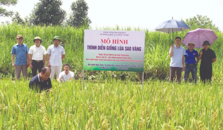 Một số nhiệm vụ, giải pháp KHCN, đổi mới sáng tạo và chuyển đổi số thúc đẩy phát triển nông nghiệp tỉnh Thanh Hóa nhanh và hiệu quả