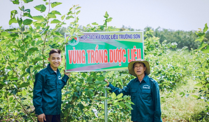 Chàng trai biến cây dược liệu thành nhiều loại tinh dầu thơm nức, thu hút người mua