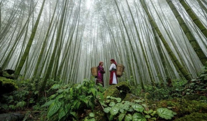 VNAT releases video featuring Vietnam tourism on YouTube