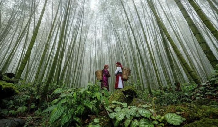VNAT releases video featuring Vietnam tourism on YouTube