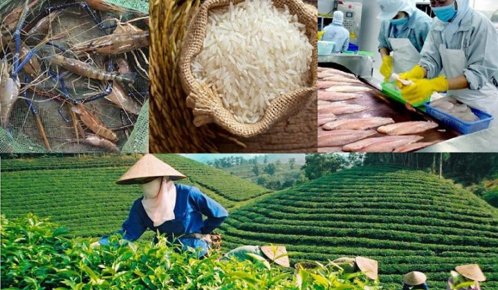 Thương hiệu Quốc gia: Chìa khóa nâng cao vị thế Việt Nam trên trường quốc tế