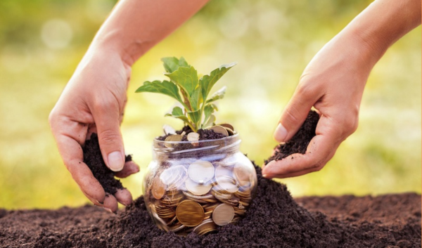 Sử dụng đất tiết kiệm và có hiệu quả; khai thác hợp lý tài nguyên thiên nhiên và bảo vệ môi trường