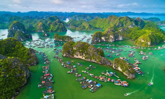 Vì sao du khách đổ về Cát Bà hè này?