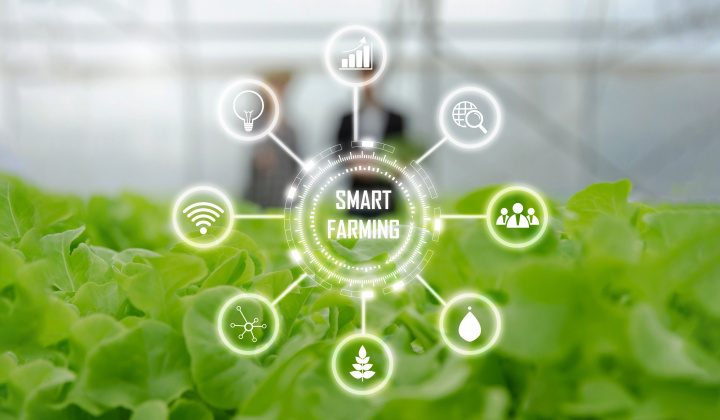 Tuyen Quang Farmers Apply Digital Technology: Building Smart Countryside