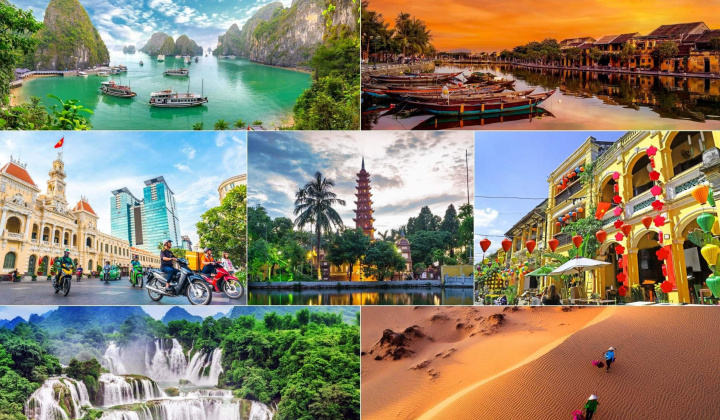 Tourism industry lacks high-quality personnel