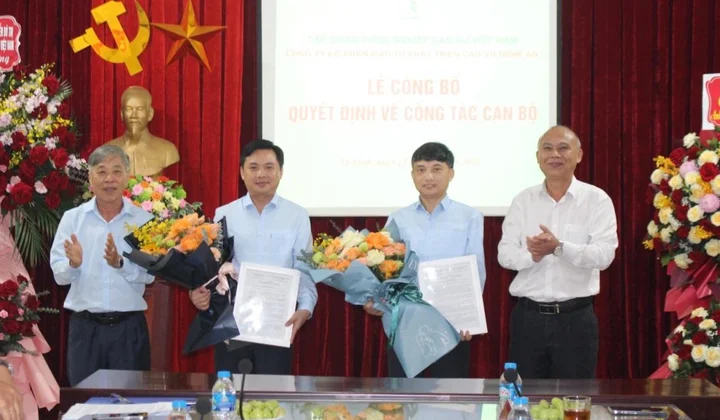 Cao su Nghệ An:Tiếp tục nâng cao hiệu quả SXKD, đổi mới mô hình quản trị theo hướng chuyên nghiệp hiện đại