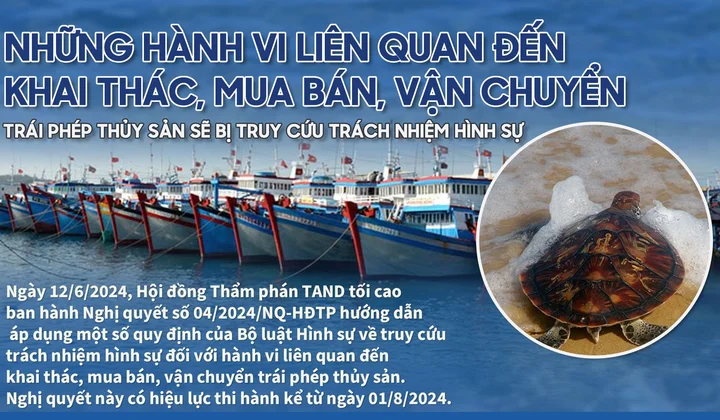 Những hành vi liên quan đến khai thác, mua bán, vận chuyển thủy sản