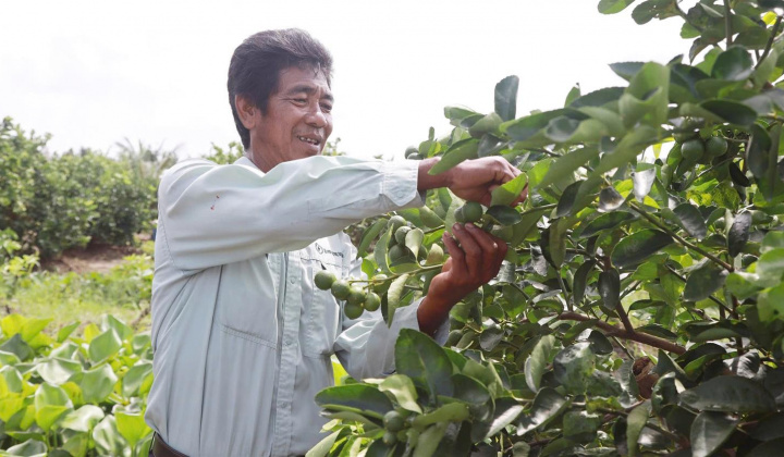 Chuyển đổi số trong nông nghiệp – Động lực phát triển bền vững tại Trà Vinh