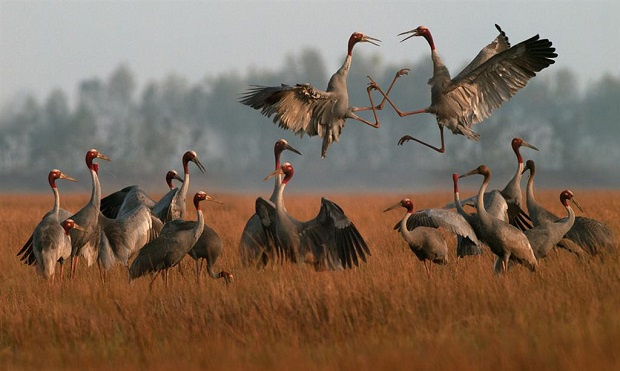 Ngành du lịch Đồng Tháp kỳ vọng bứt phá trong năm 2025