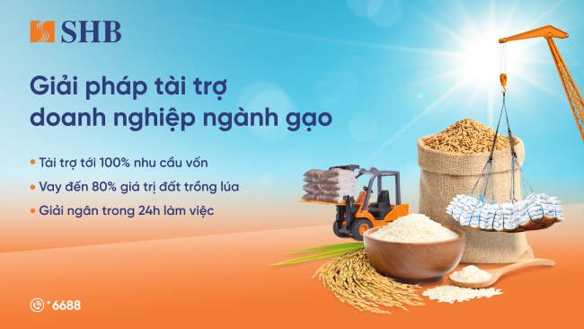SHB tiếp sức ngành gạo, hướng đến nền nông nghiệp bền vững