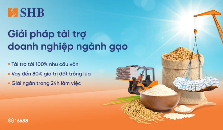 SHB tiếp sức ngành gạo, hướng đến nền nông nghiệp bền vững