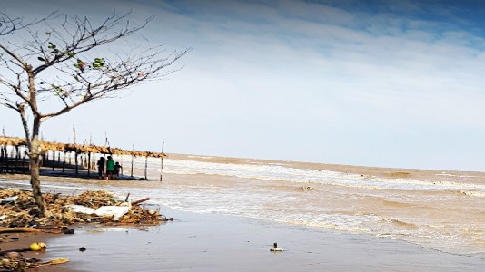 Sóc Trăng kiện toàn công tác quản lý cát biển với trung tâm chuyên trách mới