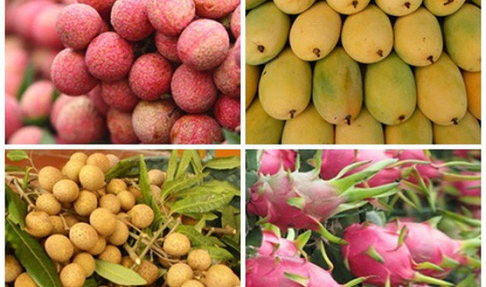 Chủ động triển khai các biện pháp bảo đảm sản xuất, chế biến, tiêu thụ và xuất khẩu nông sản