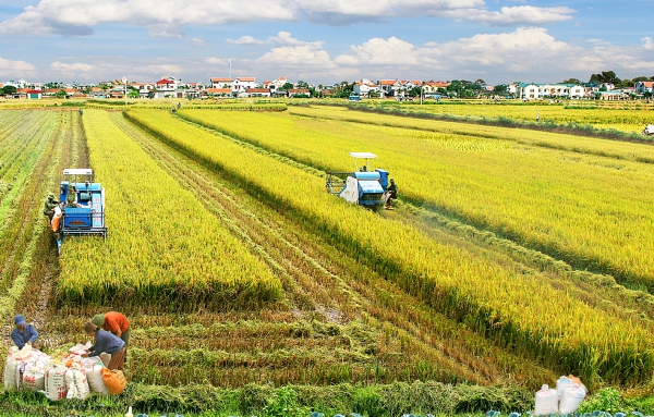 Chuyển đổi số – Động lực mới cho nông nghiệp và nông thôn Cần Thơ