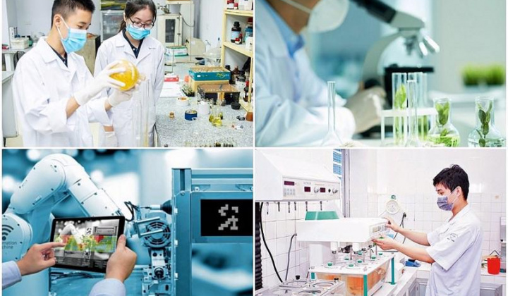 Vai trò của các tổ chức KH&CN trong việc thúc đẩy nghiên cứu và đổi mới sáng tạo: Ứng dụng công nghệ, thương mại hóa sản phẩm nghiên cứu